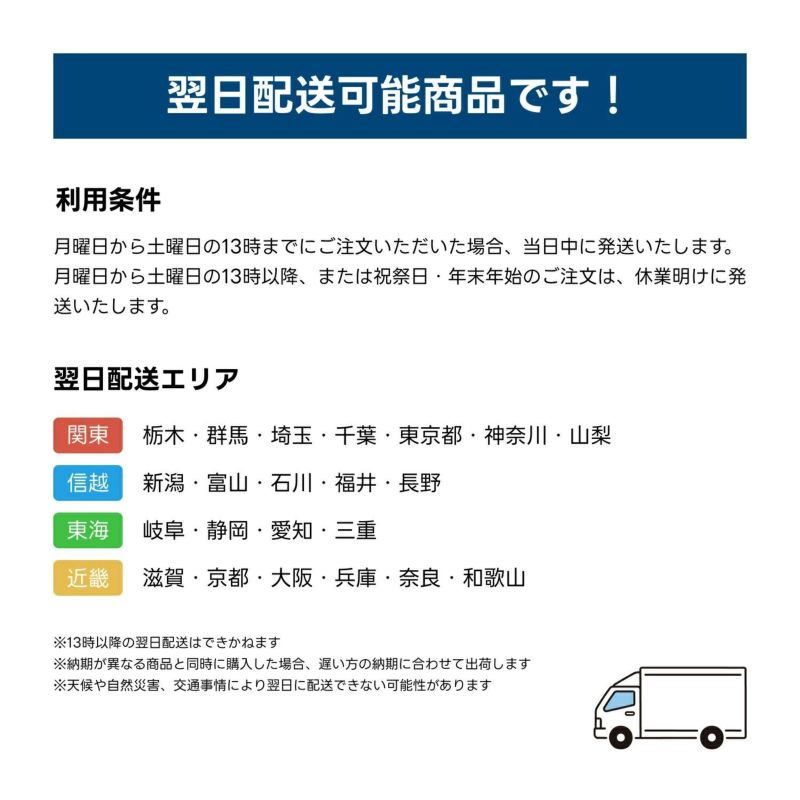 Norauto AGMバッテリー No.54 105Ah 910CCA 本体サイズ：長さ394mm×幅