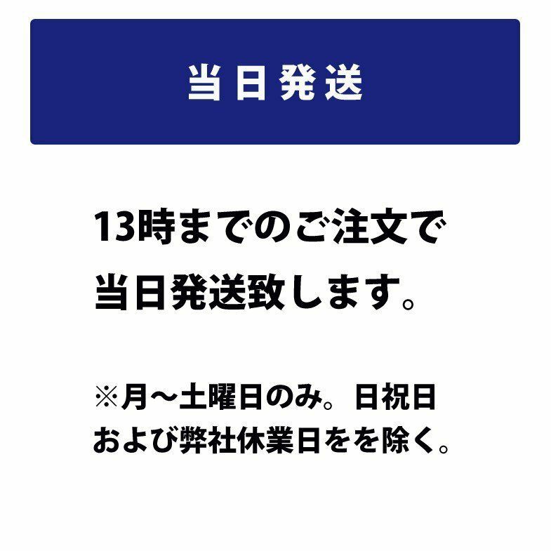 Norauto AGMバッテリー No.54 105Ah 910CCA 本体サイズ：長さ